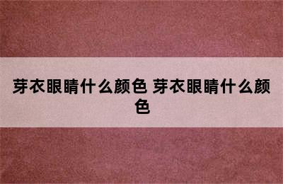 芽衣眼睛什么颜色 芽衣眼睛什么颜色